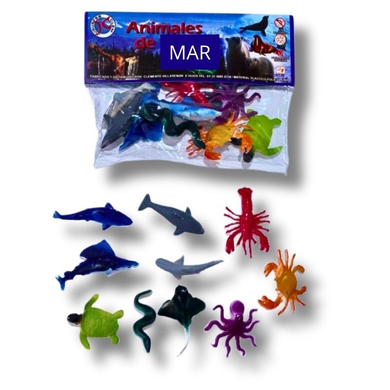 animales marino
